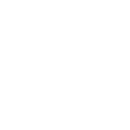 Trauma and unresolved issues
